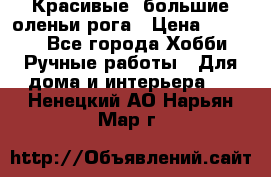 Красивые  большие оленьи рога › Цена ­ 3 000 - Все города Хобби. Ручные работы » Для дома и интерьера   . Ненецкий АО,Нарьян-Мар г.